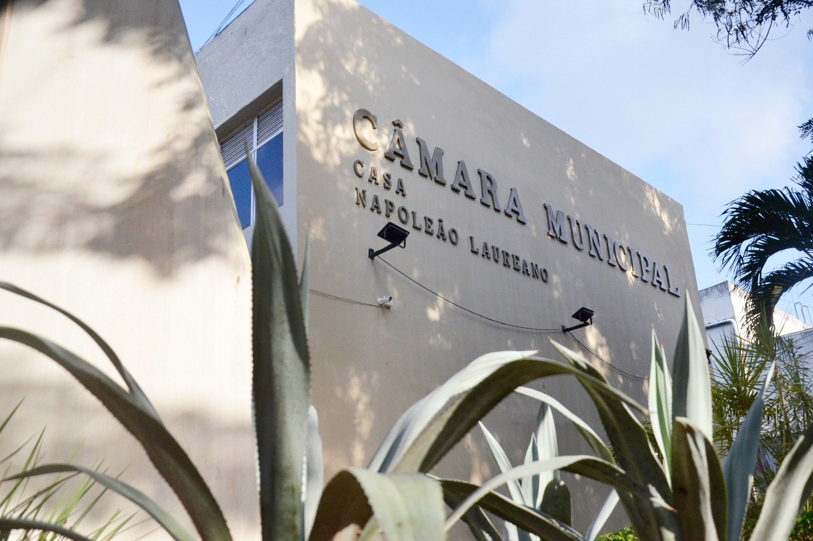 Rascunho Automático